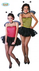 Imagen de DISFRAZ ABEJA Y MARIQUITA