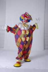 Imagen de DISFRAZ PAYASO ARLEQUIN 110-120 cms.