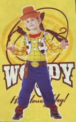 Imagen de DISFRAZ WOODY TOY STORY 5-6años